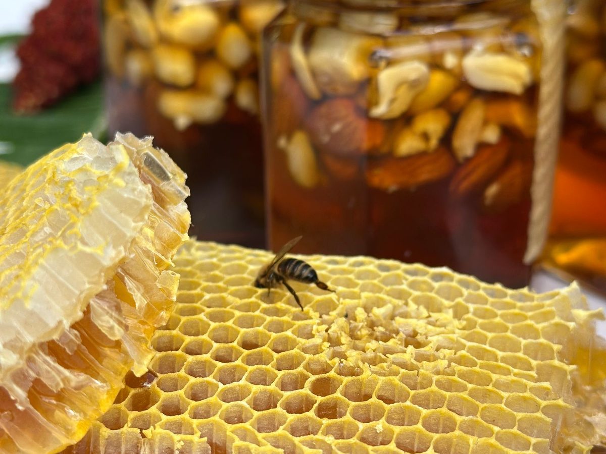 Peter Huemer – Firechief-Honey